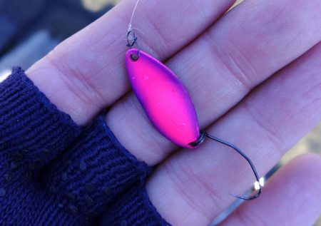 大型は釣れたが… ～天竜川ルアーフライ専用区～